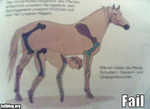 fail-owned-anatomy-book-fail