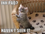 funny-pictures-kitten-has-not-seen-your-ink-pad