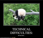 funny-pictures-panda-has-technical-difficulties1