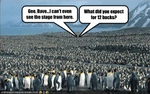 funny-pictures-penguins-are-at-an-outdoor-concert