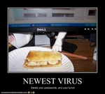 funny-pictures-you-have-a-new-virus