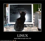funny-pictures-your-kitten-uses-linux