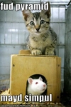 funny-pictures-cat-and-mouse-are-in-food-pyramid