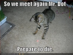 funny-pictures-cat-threatens-your-laser-pointer