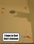 funny-pictures-fish-hope-a-shadow-is-batman