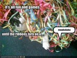 funny-pictures-ribbons-attack-cat