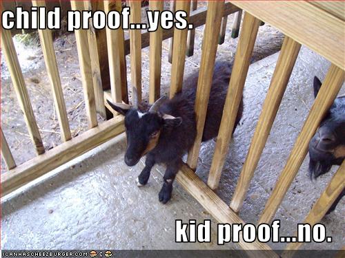 funny-pictures-your-fence-is-not-kid-proof