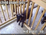 funny-pictures-your-fence-is-not-kid-proof