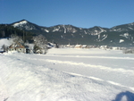 DSC00216