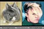 flock-of-seagulls-bunny-totally-looks-like-flock-of-seagulls-singer