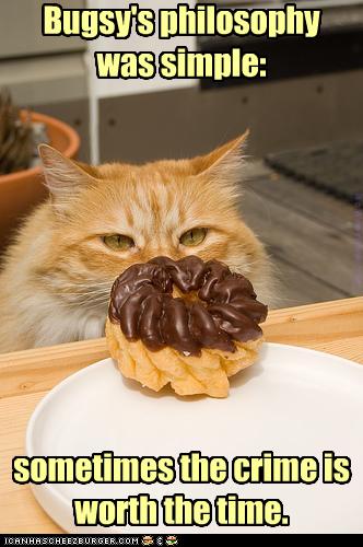 funny-pictures-cat-eyes-a-donut