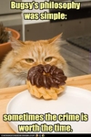 funny-pictures-cat-eyes-a-donut