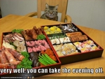 funny-pictures-cat-gives-you-the-evening-off