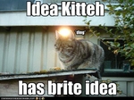 funny-pictures-cat-has-an-idea