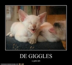 funny-pictures-kittens-have-the-giggles