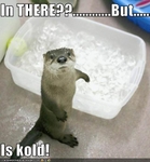 funny-pictures-otter-does-not-want-an-ice-bath