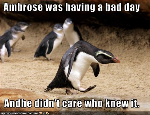 funny-pictures-penguin-has-a-bad-day