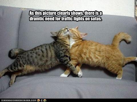 funny-pictures-sofa-needs-traffic-lights