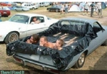 tifi-pool