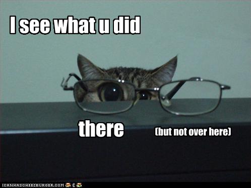 funny-pictures-cat-has-glasses