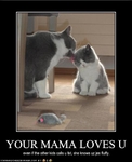 funny-pictures-cat-has-loving-mother