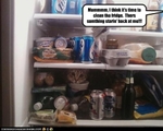 funny-pictures-cat-is-in-fridge