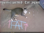 funny-pictures-cat-thinks-you-spelled-something-wrong