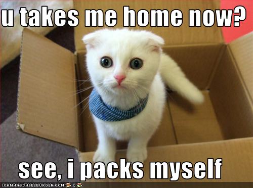 funny-pictures-cat-wants-to-go-home