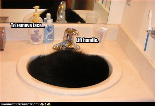 funny-pictures-cat-will-remove-your-face