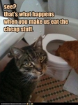 funny-pictures-cats-throw-up