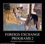funny-pictures-foreign-exchange-programs