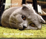 funny-pictures-happycat-is-sad1