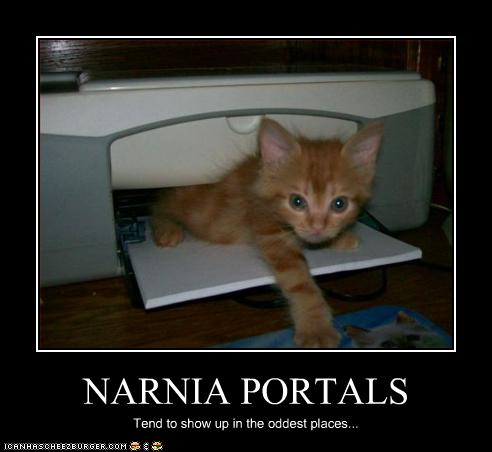 funny-pictures-kitten-comes-from-narnia
