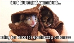 funny-pictures-kittens-are-jedis
