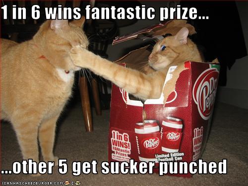funny-pictures-one-cat-gets-punched