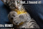 funny-pictures-tinsel-belongs-to-cat