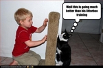 funny-pictures-cat-and-toddler-play