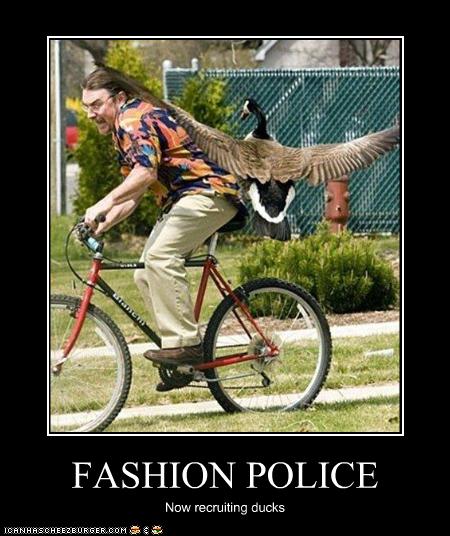 funny-pictures-duck-is-member-of-fashion-police