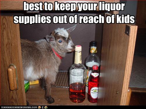 funny-pictures-kid-reaches-alcohol