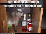 funny-pictures-kid-reaches-alcohol