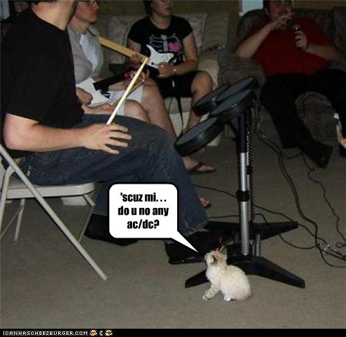 funny-pictures-kitten-requests-song