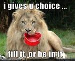 funny-pictures-lion-gives-you-a-choice