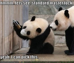 funny-pictures-pandas-pick-lock