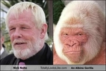 nick-nolte-totally-looks-like-albino-gorilla2
