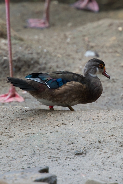 DSC_3576