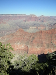 DSCN0334