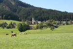 IMG_5877