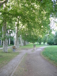 DSCN0938
