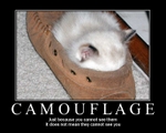 camouflage