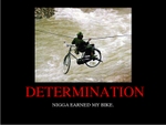 determination